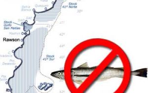 Hake catches remain banned in the waters of the Inter-jurisdictional Area of Restricted Fishery Efforts
