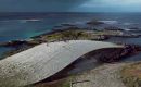 The low, curved concrete roof, which is covered in stones, doubles as a viewing platform, giving visitors a chance to spot the many species of whales