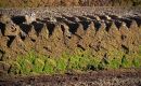 Peat for decades was used in Falklands to heat homes and cooking food 