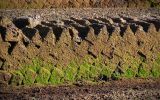 Peat for decades was used in Falklands to heat homes and cooking food 