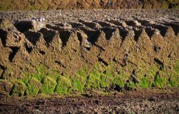 Peat for decades was used in Falklands to heat homes and cooking food