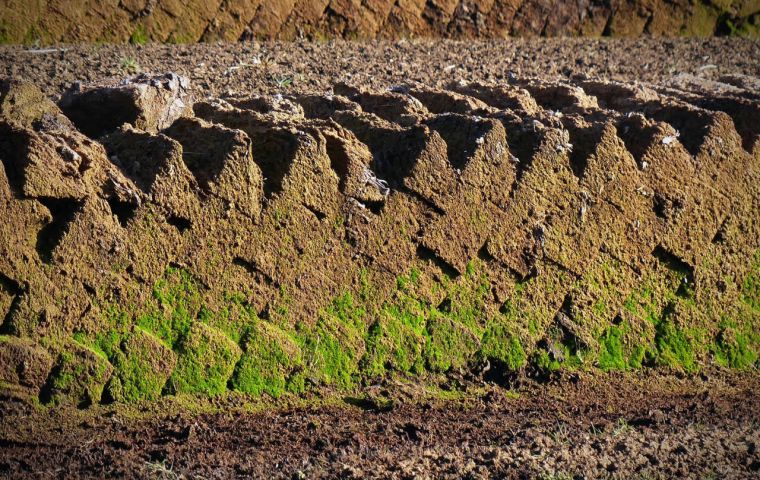 Peat for decades was used in Falklands to heat homes and cooking food 
