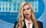 She admitted that, although she graduated in law, she had not passed the bar exam, despite presenting herself as a lawyer for years