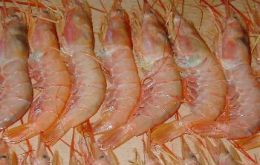 Shrimp led exports in terms of value, with USD 271 million.