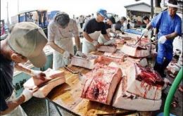 Fishermen cut blocks of meat from a 10m-long bottlenose whale