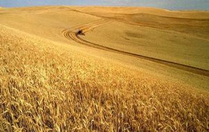 The suspension of the tariff is valid for one million tons of wheat