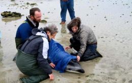 Sarah Clements (R) with a Conservation team at Surf Bay