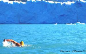 Maria trains in the icy waters of Perito Moreno glacier