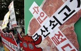 The Korean writing on the signs reads “We oppose import U.S. beef.”