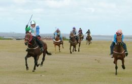 Tim Bonner riding his Falkland Island bred stallion Zafonic