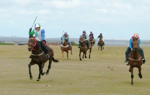 Tim Bonner riding his Falkland Island bred stallion Zafonic