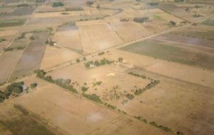 Yellow-dry fields in Uruguay’s rich farmland