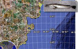 The banned hake fishing area around parallel 41 will be modified in the days to come.
