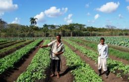 Highly dependent on food imports, Cuba is desperate to promote agriculture.