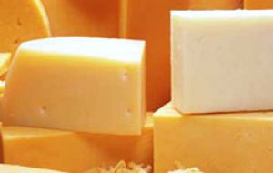 Powder milk and Gouda cheese are the main products rejected by Chilean farmers.