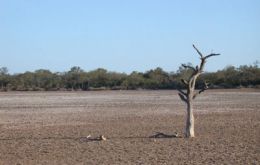 The drought had a dramatic impact on crops and cattle