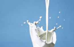Milk prices have tumbled worldwide and in Europe