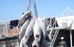 Conservation groups warn about (extended) under-reporting and illegal fishing
