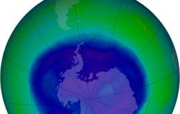 Westerly winds triggered by the ozone hole cool Antarctica