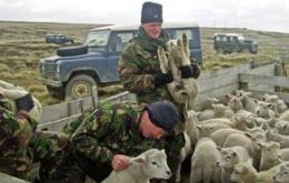 Soldiers were asked to help two stricken farmers in the Falkland Islands (Corporal Scot Robertson/MoD/PA)