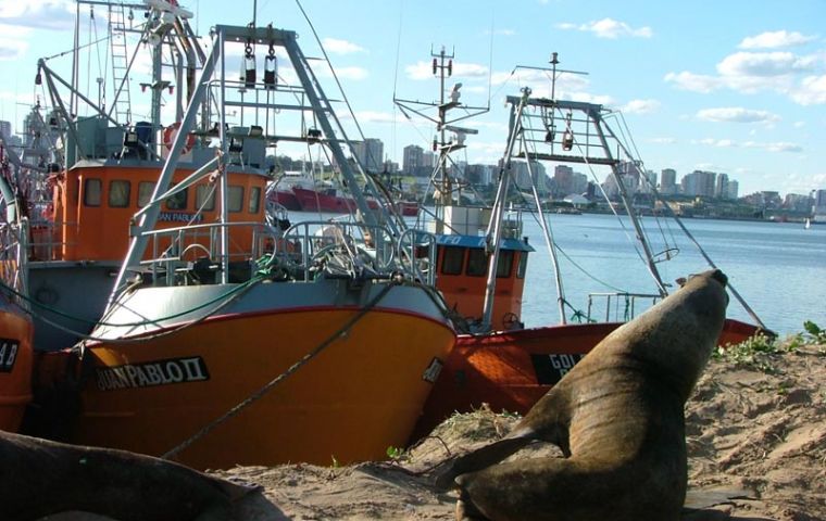 The conflict originated in Mar del Plata, Argentina’s main fishing port