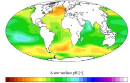 Chemistry of oceans changing at an unprecedented rate and magnitude, says the US National Research Council report 