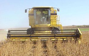 Farmers preparing for a two million tons soy harvest  