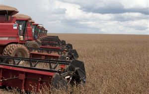 Matto Grosso soybean and cotton producers looking for better cost options 