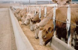 Fears about consequences to the EU livestock industry