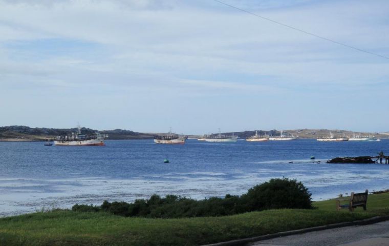 A common sight in the Falklands on licence awarding days 