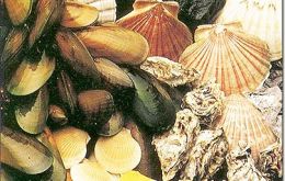The measure includes cockles, mussels and clams     