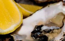 The full impact of the oyster depletion will be felt this Christmas 