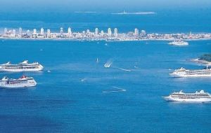 Punta del Este on a busy summer day with several cruise vessels in the bay 