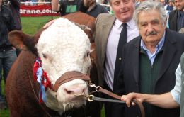 President Mujica gives the 1rst Prize-Hereford during the curently Prado Rural Show 