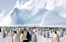The pristine Antarctica landscape 