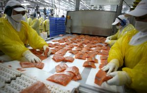 Salmon was a 2 billion US dollars industry from 2007 to 2009 