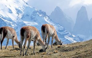 Parts of southern South America had below-normal temperatures