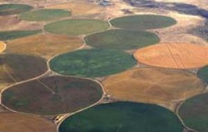 Centre-pivot irrigation systems produce the familiar circles seen by airline passengers.