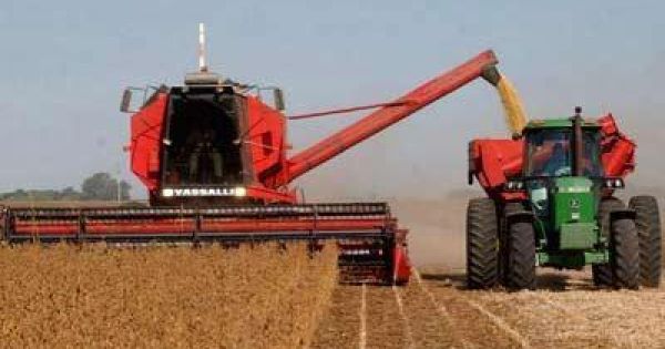 Oil World Reduces Argentine Soybean Crop Estimates Because Of Lack Of Rain — Mercopress 1199