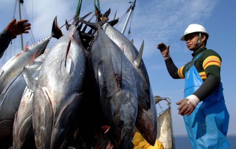 The goal is an annual catch of 8.000 tons of tuna