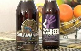 Purple Hand and Salamandra, iconic brands for the LGBT community 
