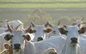 The country has over 12 million head of cattle 