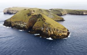 Bird Island - the type of terrain being surveyed