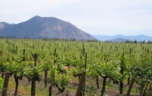 Vineyards and the main bottling plant of Concha y Toro 