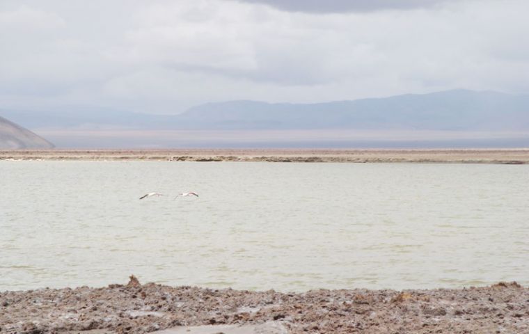 The slat flats in the Atacama and Bolivia hold the largest proven reserves of lithium 