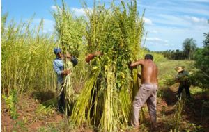 The farming sector is crucial for the landlocked country’s economy 