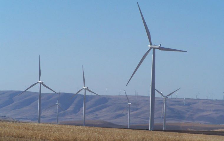 A massive display of wind turbines on Shepherds Flat 