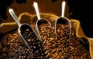The International Coffee Organization expects supplies to fall behind demand for fourth year running