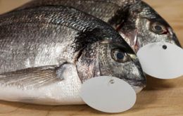 The traditional choices of tuna, cod, salmon, prawns and haddock account for 90% of fish sales 