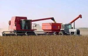 Farmers in Argentina have been reluctant to sell soybeans